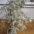 Работа для водителей