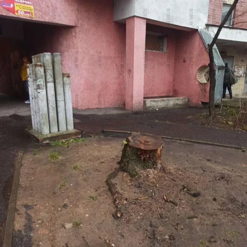 Пень