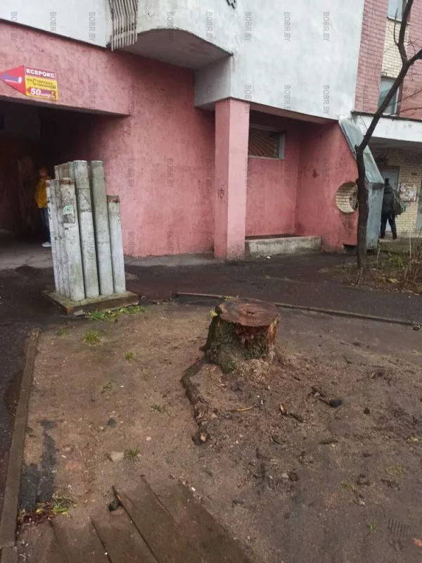 Пень