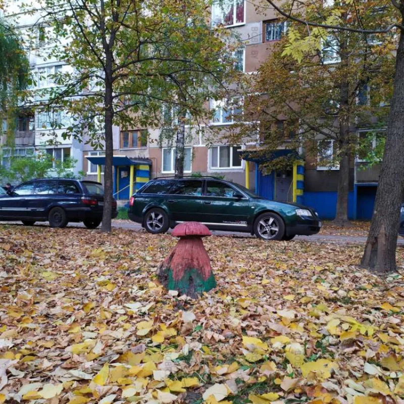 Осенний грибочек