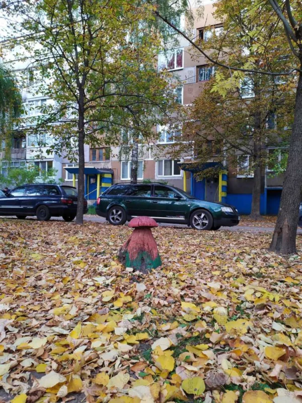 Осенний грибочек