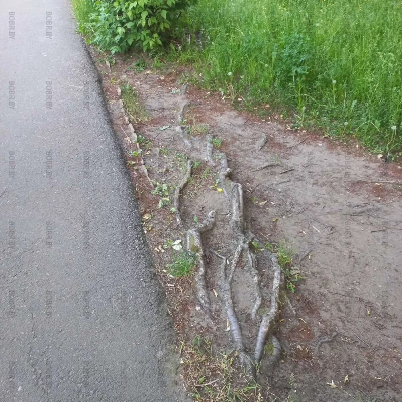 Ступеньки