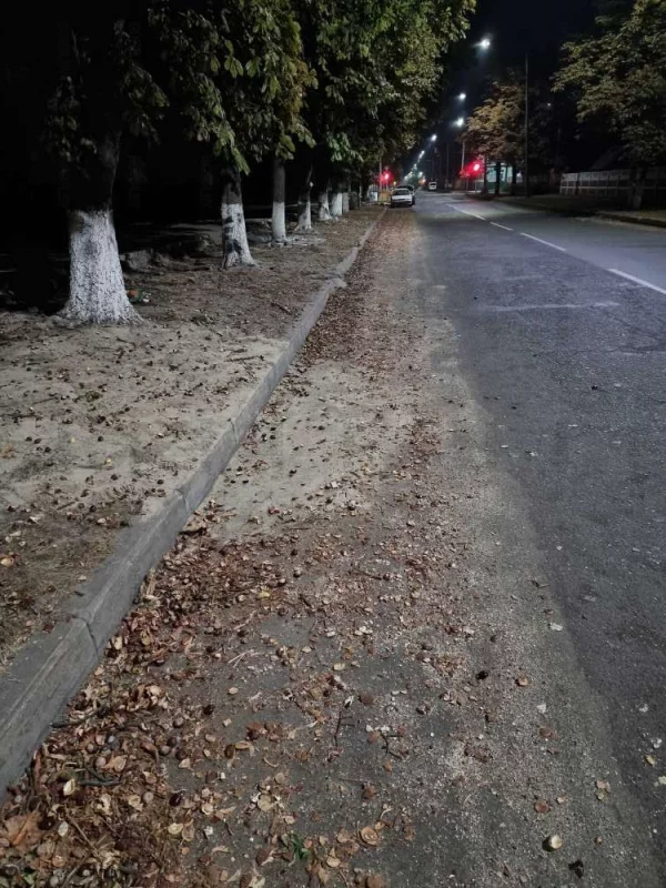 Ремонт на улице Социалистической