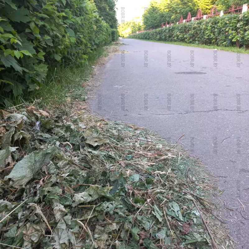 Заготовка сена 