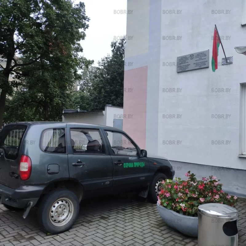 Минприроды, Бобруйск. На номерной знак для служебного транспорта денег не хватило. Надо больше вырубать лесов. 