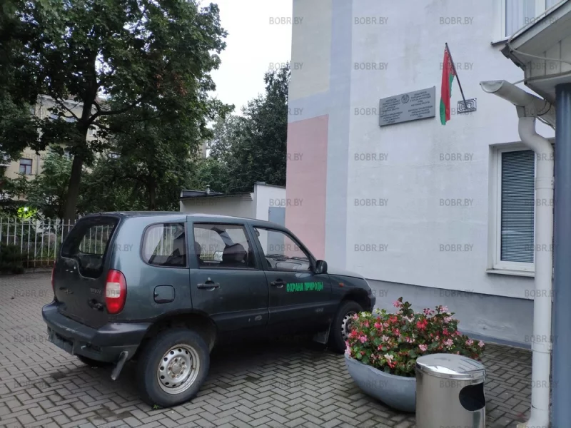 Минприроды, Бобруйск. На номерной знак для служебного транспорта денег не хватило. Надо больше вырубать лесов. 