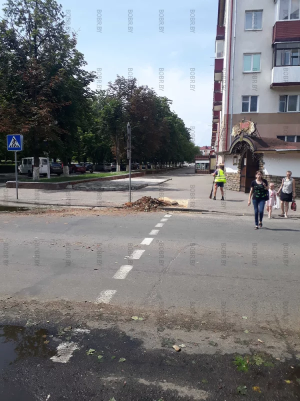 Дерево упало, не выдержав стихии