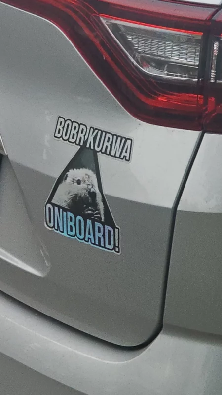 Наклейка на заднем бампере