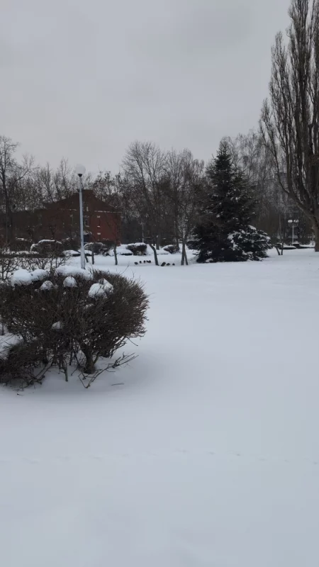 Куропатки в Бобруйской крепости ♥️