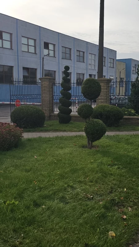 Садовое искусство возле Легпромразвития