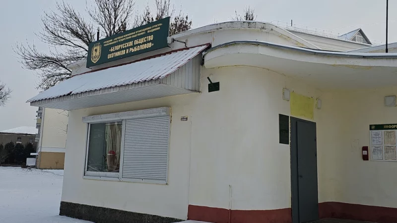 У бобров тоже праздничное настроение