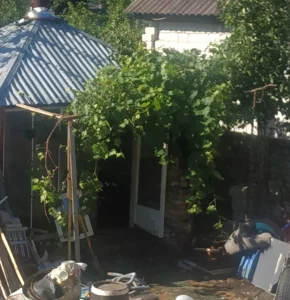 Нужен разнорабочий.