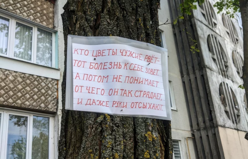 Фотофакт: проклятье отложенного действия