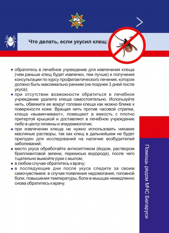 Осторожно! Клещи!