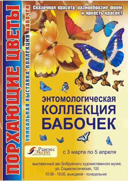 Энтомологическая коллекция бабочек