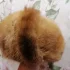 Продам женскую норковую шапку