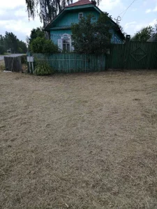 Дом в деревне