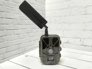 Фотоловушку