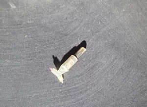 Радиола ламповая кантата 204