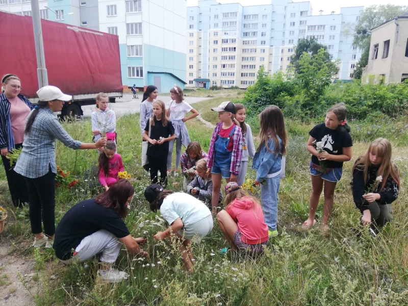 «Путешествие в мир природы»