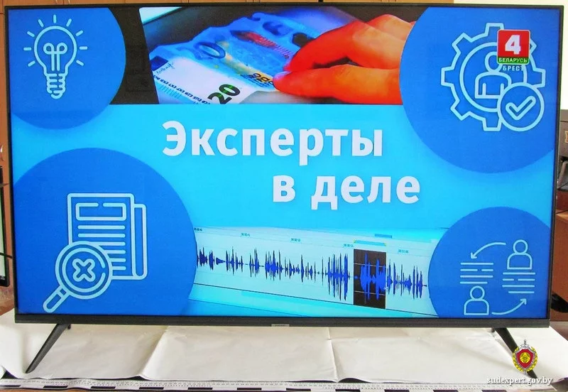 Сгоревший конденсатор и год судов: бобруйчанка выиграла суд с магазином бытовой техники