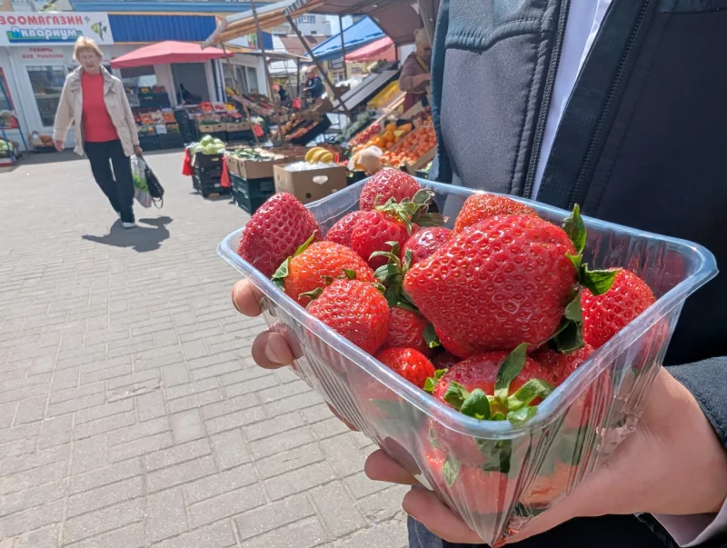 Клубника, молодая картошка, кабачки. Почем новый урожай на рынке?
