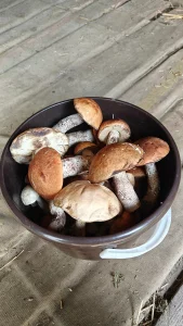 Замороженные грибы