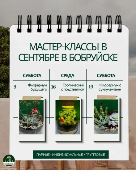 Мастер-класс по созданию флорариума в Бобруйске: расписание на сентябрь