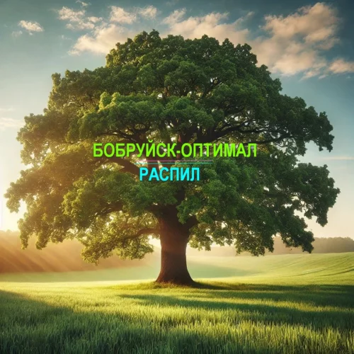 Дизайнер мебели