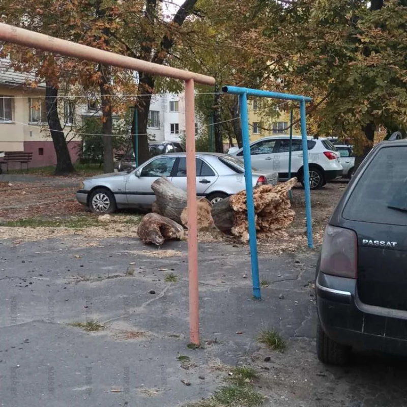 Красота во дворах