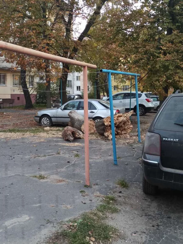 Красота во дворах
