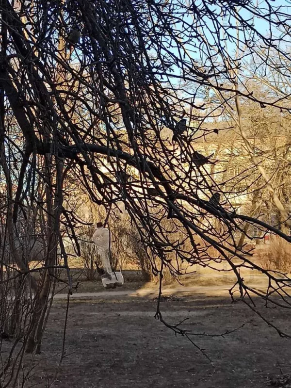 Птички рады корму 