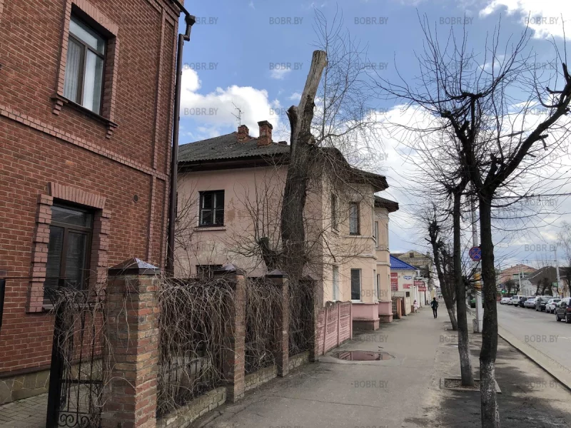 Такие вот красивые деревья в центре города