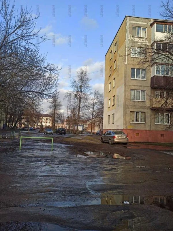 Лужи наше все