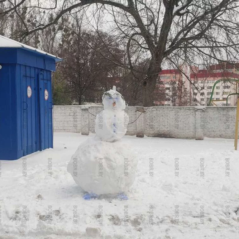 Зимний красавец