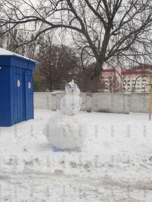 Зимний красавец