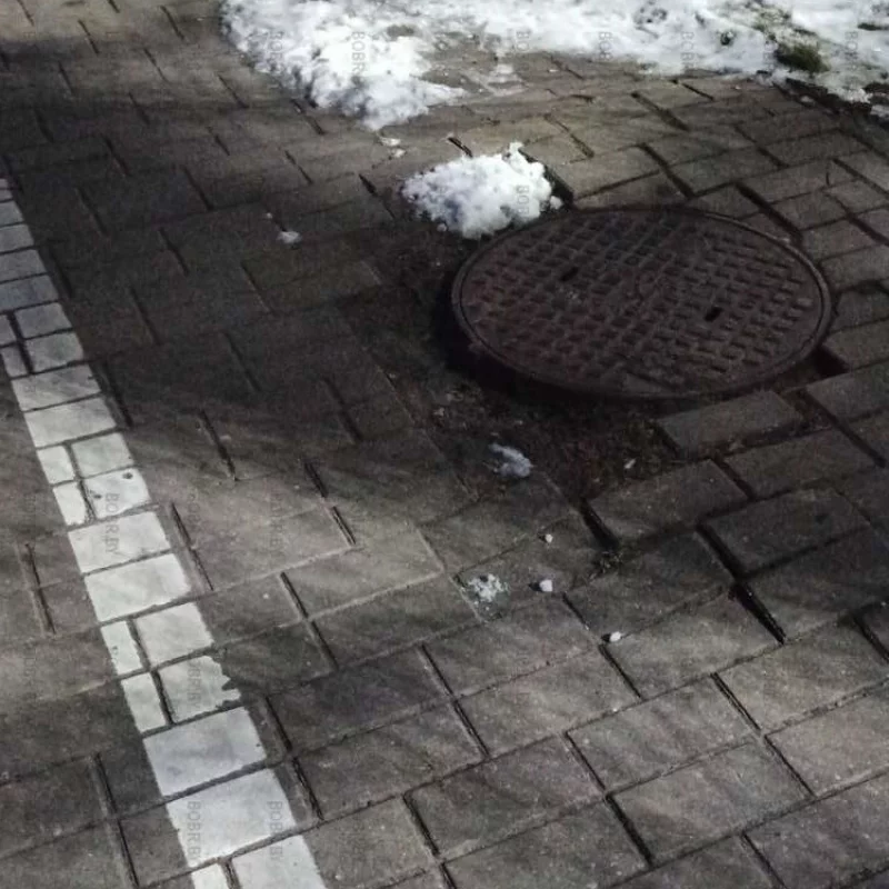 Остановка Шмидта..