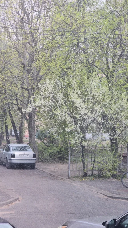 Идёт снег