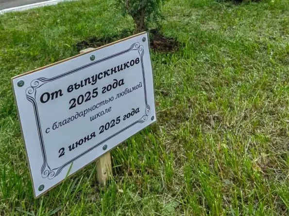 В музыкальной школе имени Оловникова заложена Аллея выпускников