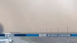 На трассе Могилёв-Бобруйск из-за пыльной бури столкнулись 5 машин: есть пострадавший