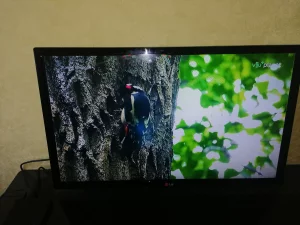 Телевизор LG 32 Lb 530u