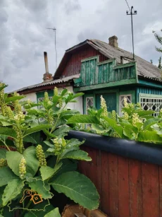 Просторный жилой дом