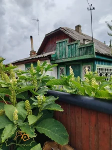 Просторный жилой дом