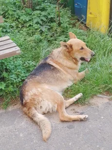 Кто потерял?