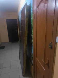 Двери входные металлические