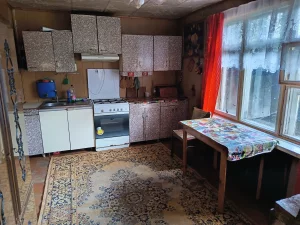 Дом в деревне Станция Ясень Осиповичский р-н