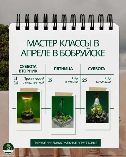 Мастер-класс по созданию флорариума в Бобруйске: расписание на апрель