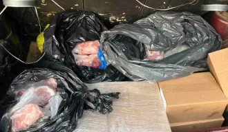 В Бобруйске задержали работников детского лагеря, похитивших продукты на сумму более 1 тыс. рублей: возбуждено уголовное дело