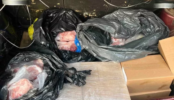 В Бобруйске задержали работников детского лагеря, похитивших продукты на сумму более 1 тыс. рублей: возбуждено уголовное дело