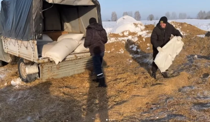 Работники Глушанского лесничества подкармливают диких животных